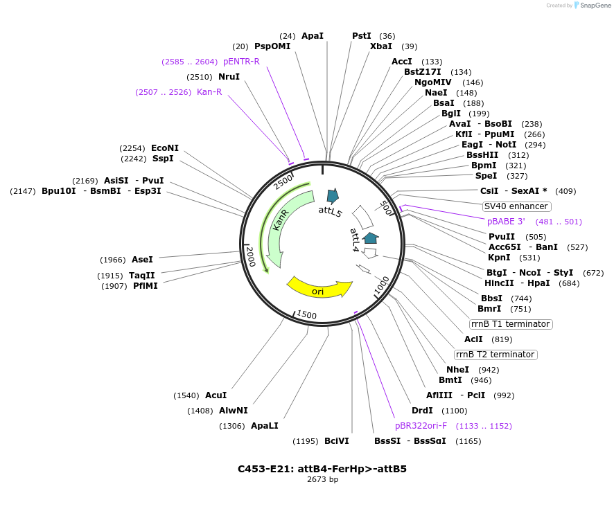 340176_map