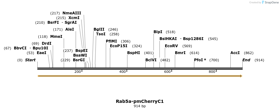 34022_map