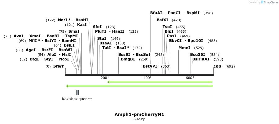 34028_map