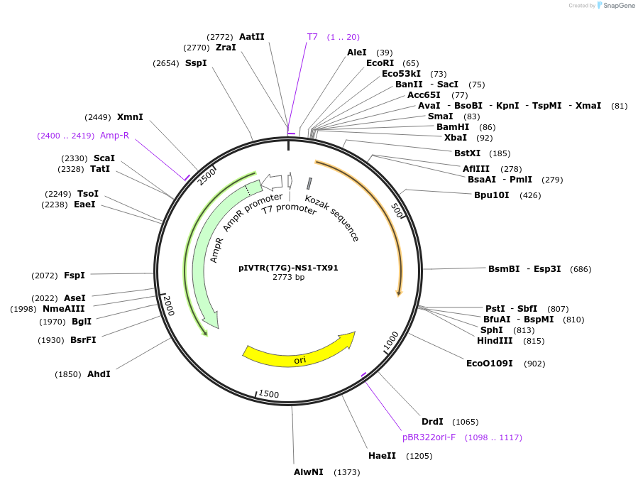 340308_map
