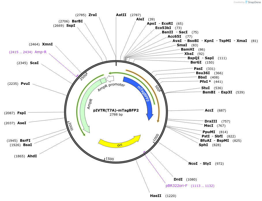 340314_map