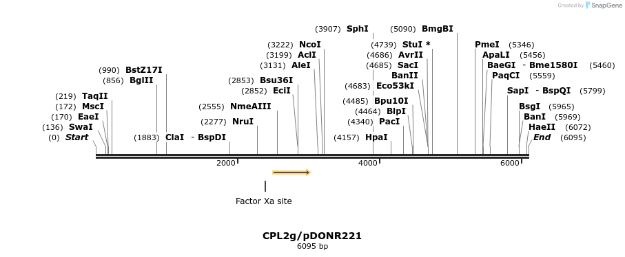 340317_map