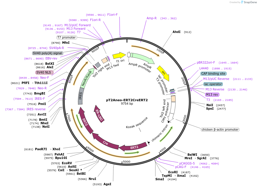 340320_map