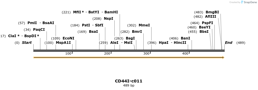 340339_map