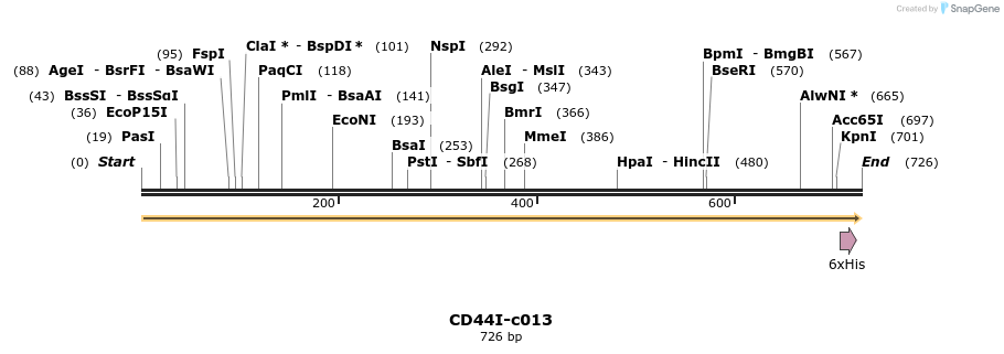 340341_map