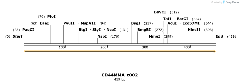 340345_map