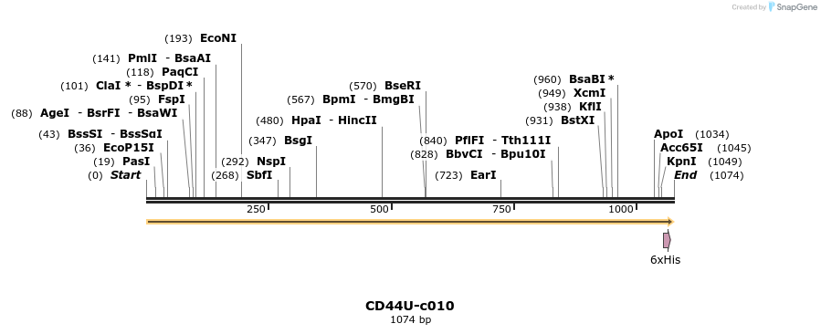 340347_map