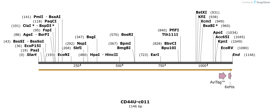 340349_map