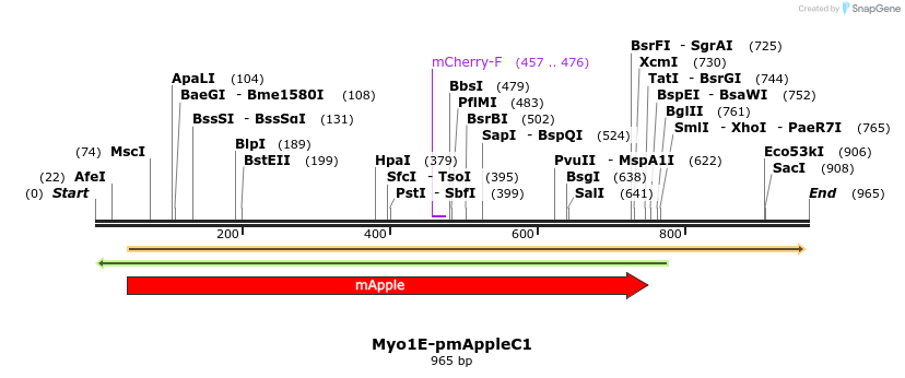 34035_map