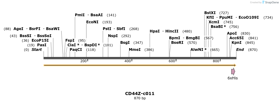 340351_map