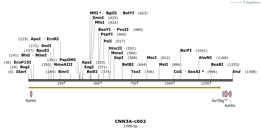340353_map