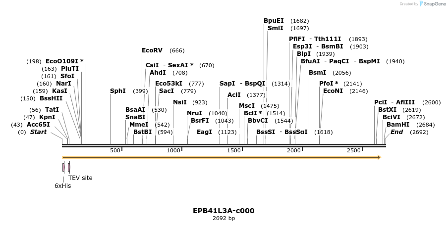 340357_map