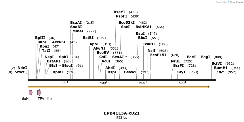 340361_map