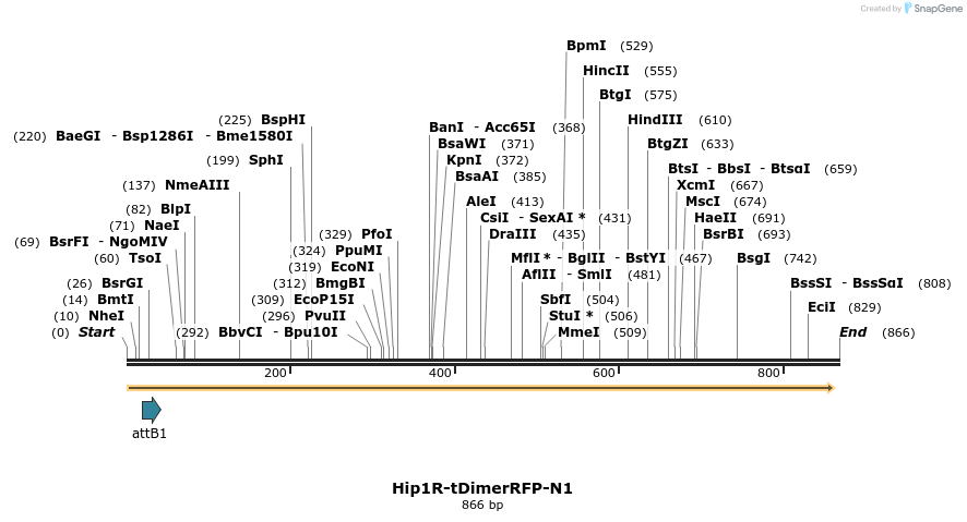 34037_map
