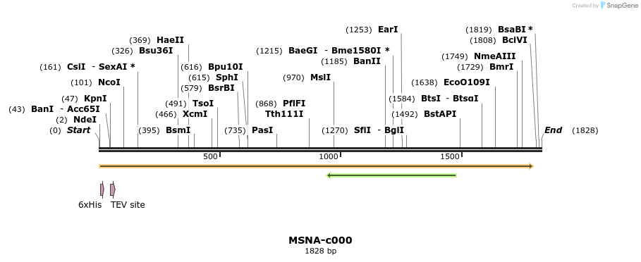 340371_map