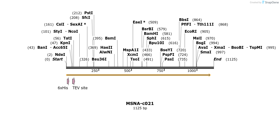 340377_map