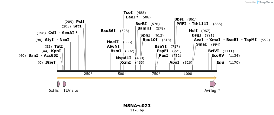 340379_map