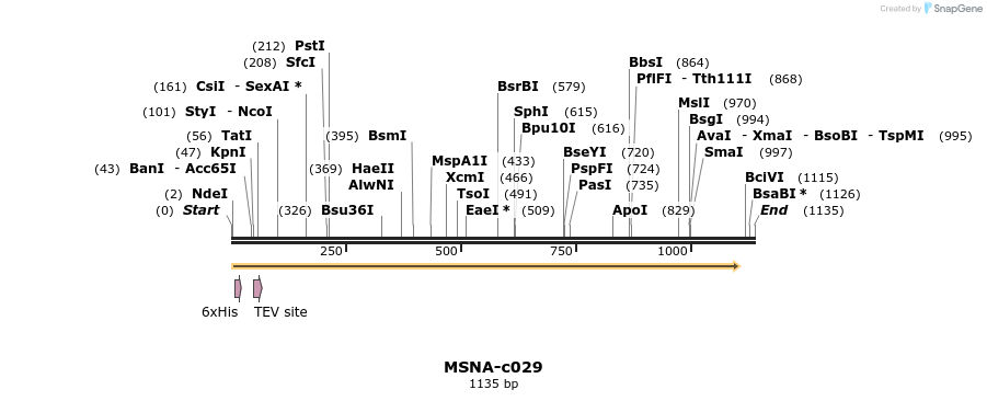 340383_map