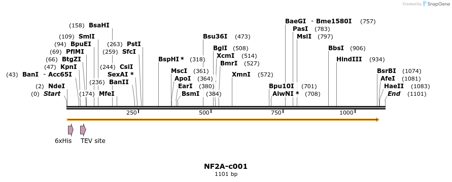 340385_map