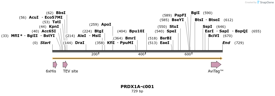 340387_map