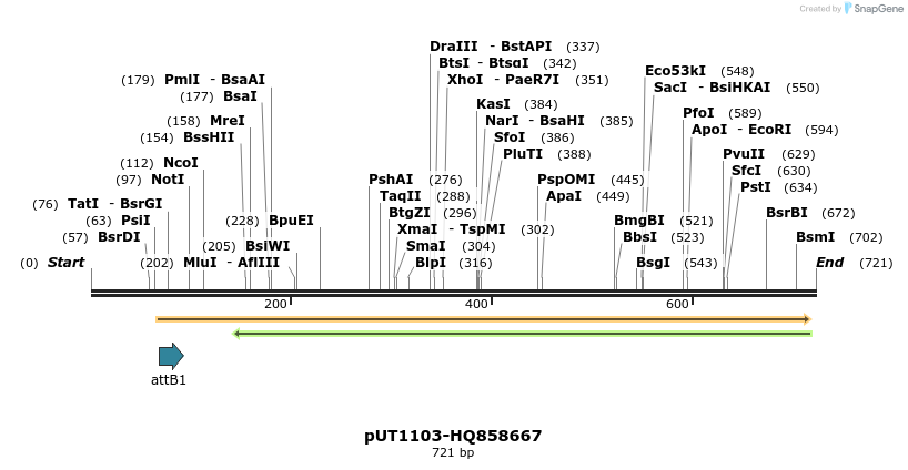 34039_map