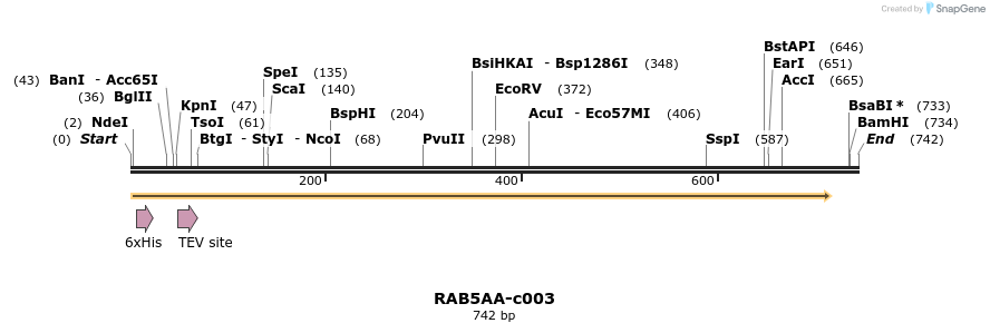 340391_map