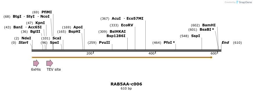 340393_map