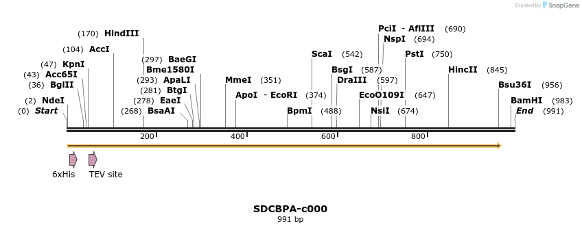 340401_map