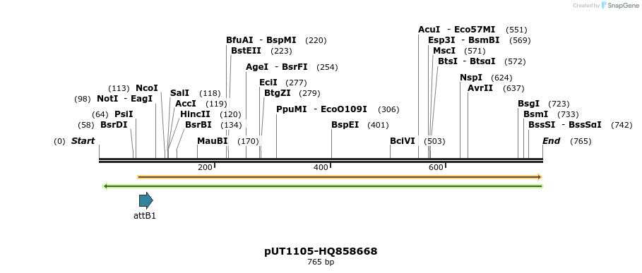 34041_map