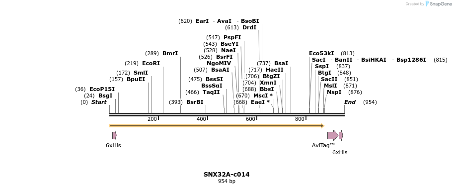 340413_map