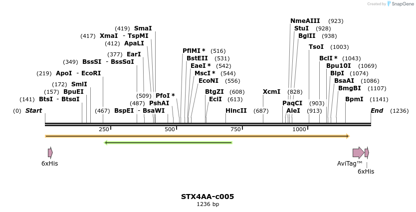 340415_map