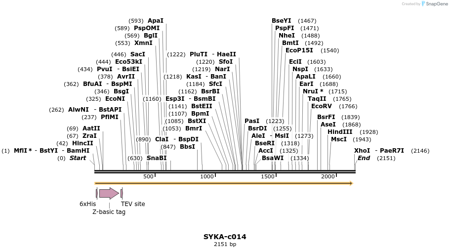 340417_map
