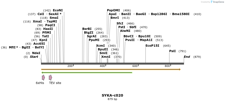 340419_map