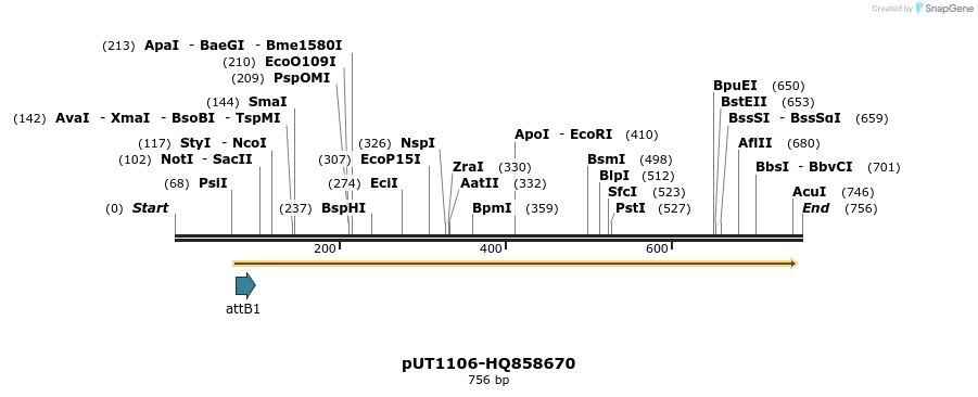 34042_map