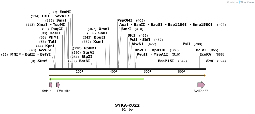 340421_map