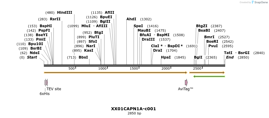 340423_map