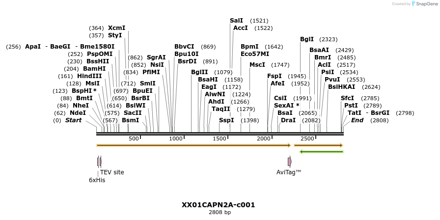 340425_map