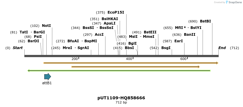 34045_map