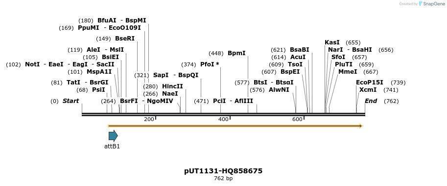 34047_map