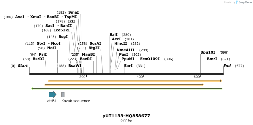 34049_map