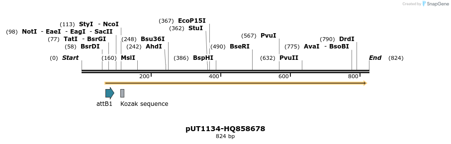 34050_map