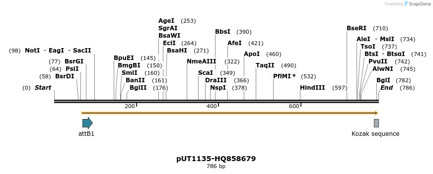 34051_map
