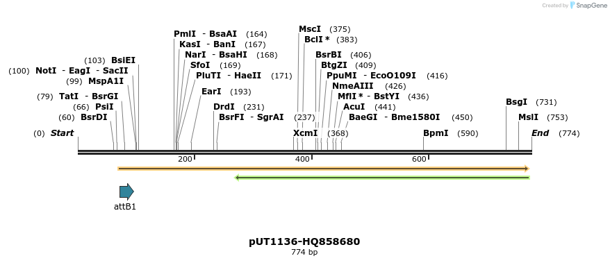 34052_map