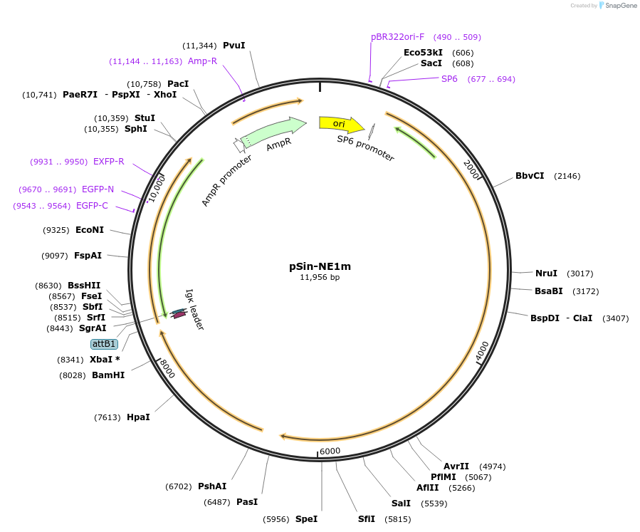340541_map
