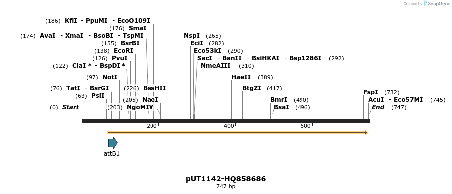 34058_map
