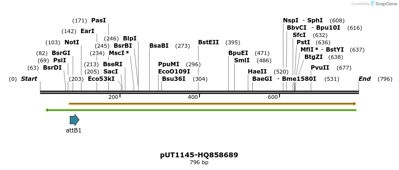 34061_map