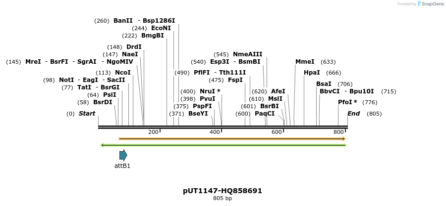 34063_map