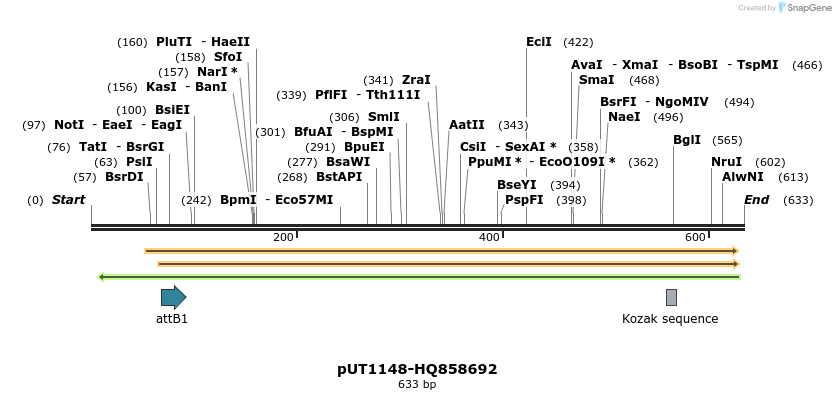 34064_map