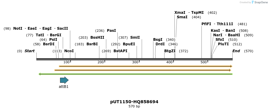 34066_map