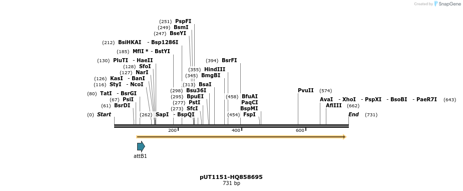 34067_map